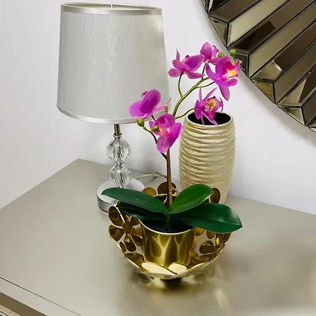 Morning Calm Apartmán