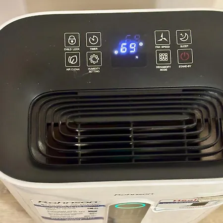 Morning Calm Konstanca