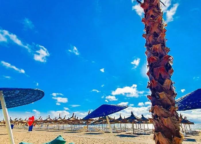 Morning Calm Apartman *