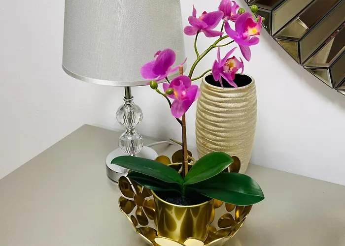 Morning Calm Apartman