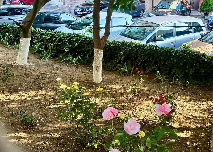 Morning Calm Konstanca